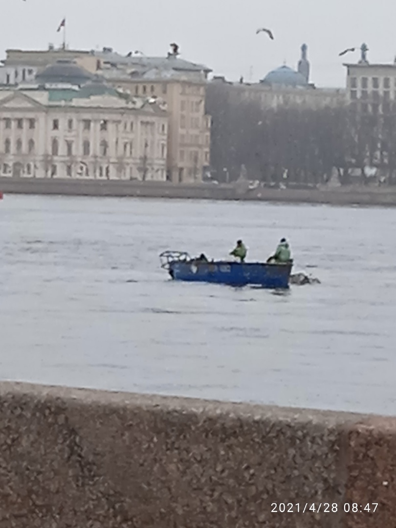 Отчет о рыбалке: Водоём Нева — Санкт-Петербург — Северо-Западный федеральный округ, Санкт-Петербург Отчет о рыбалке: Водоём Нева — Санкт-Петербург — Северо-Западный федеральный округ, Санкт-Петербург