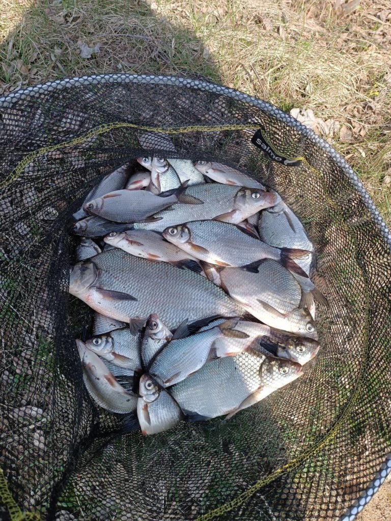 Отчет о рыбалке: Чигиринское водохранилище — Могилёвская область