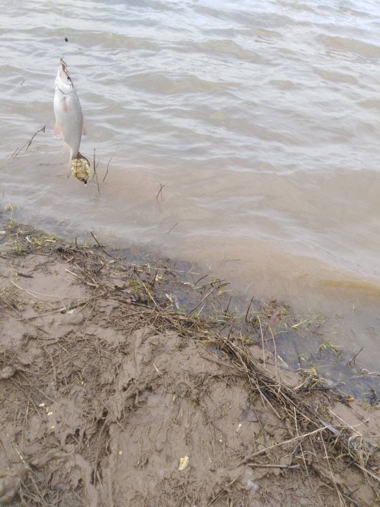 Отчет о рыбалке: Водоём Абызово — городское поселение Благовещенск — Благовещенск — Приволжский федеральный округ, Республика Башкортостан