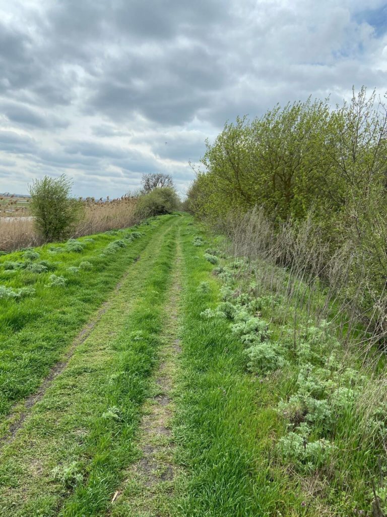 Отчет о рыбалке: Река Дон — Азовский район — Южный федеральный округ, Ростовская область