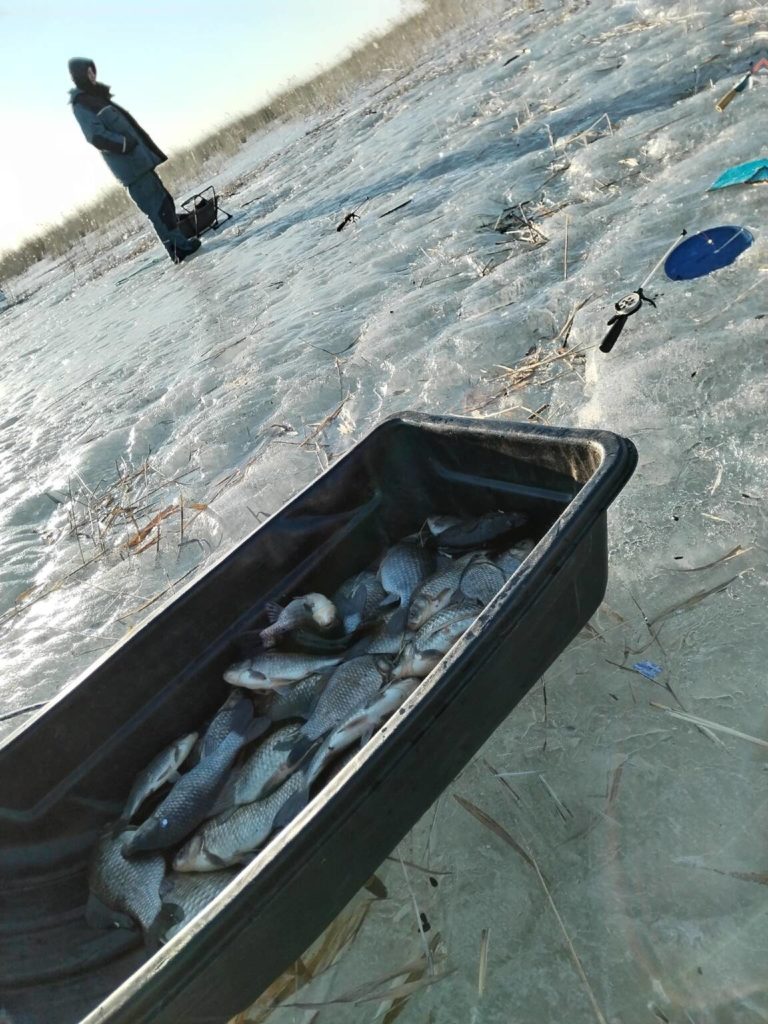Отчет о рыбалке: озеро Степное — Сладковский район — Уральский федеральный округ, Тюменская область