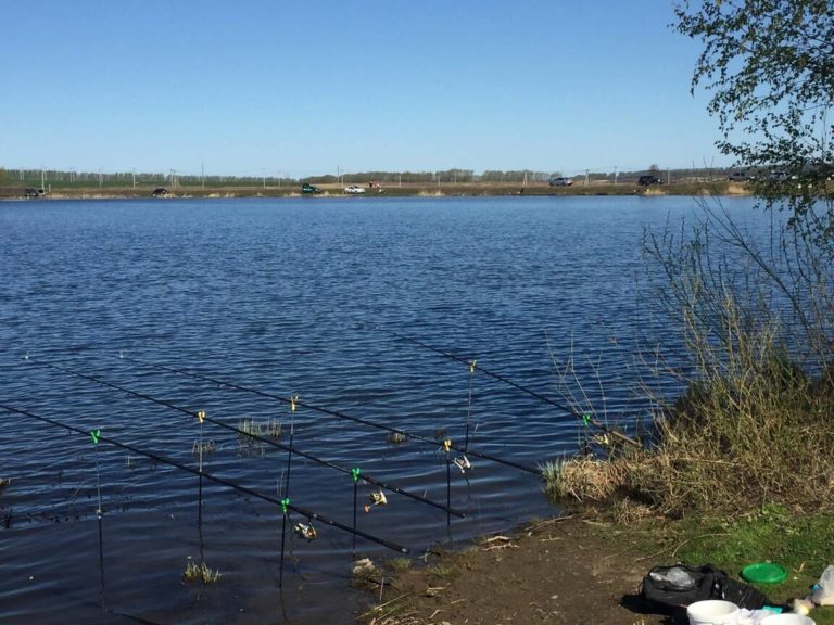 Отчет о рыбалке: Водоём #52599171 — Болотниковское сельское поселение — Приволжский федеральный округ, Республика Мордовия