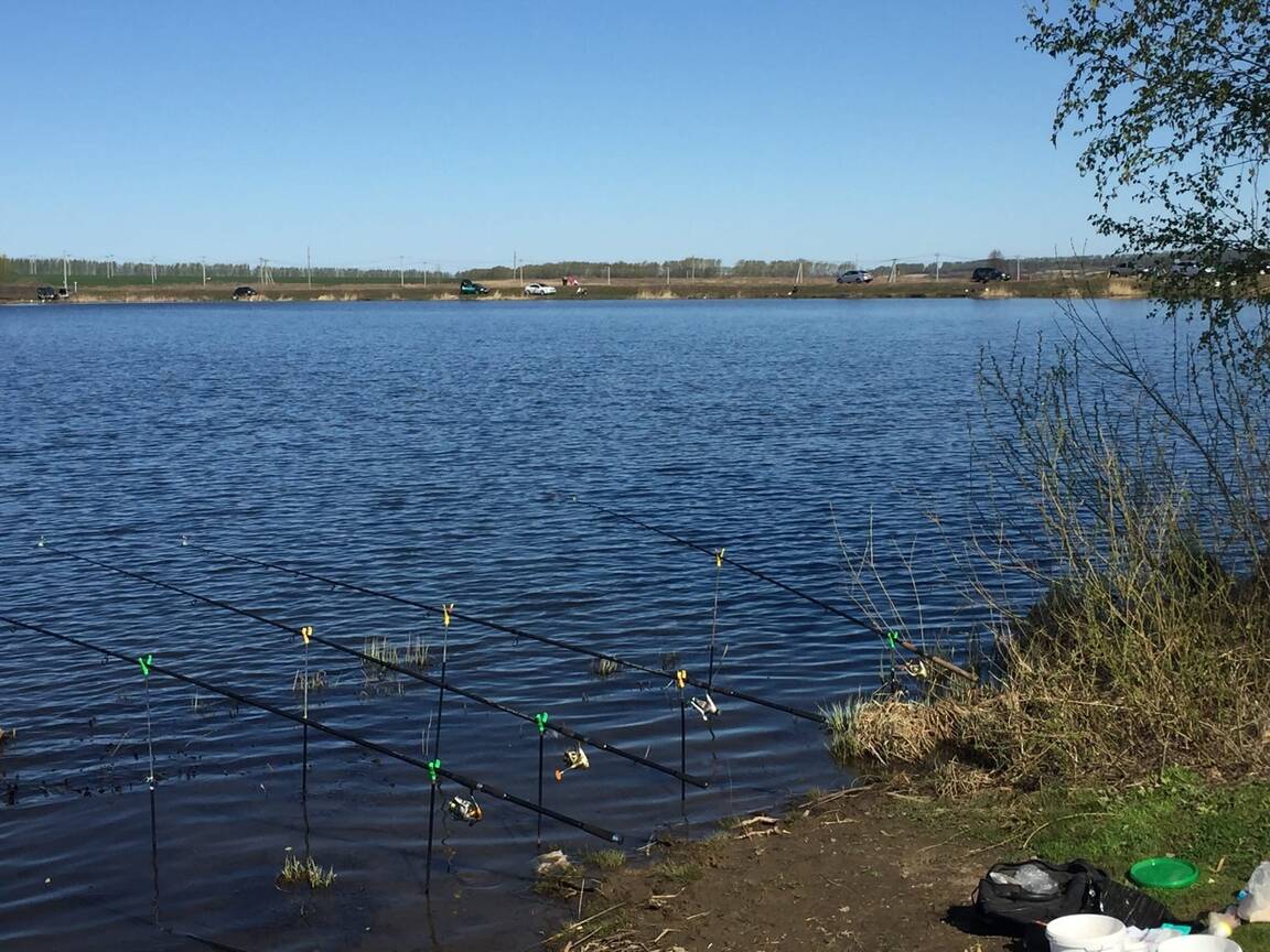Отчет о рыбалке: Водоём #52599171 — Болотниковское сельское поселение — Приволжский федеральный округ, Республика Мордовия Отчет о рыбалке: Водоём #52599171 — Болотниковское сельское поселение — Приволжский федеральный округ, Республика Мордовия