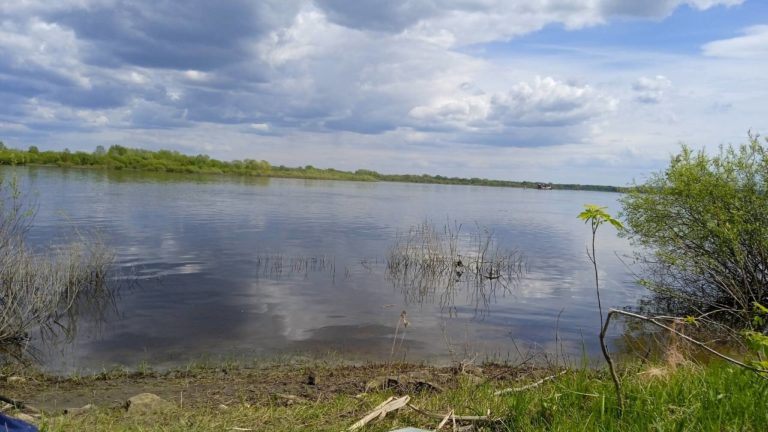 Отчет о рыбалке: Река Волга — Кстовский муниципальный округ — Приволжский федеральный округ, Нижегородская область