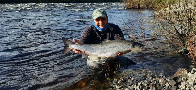 Отчет о рыбалке: Река Кола — городское поселение город Кола — Северо-Западный федеральный округ, Мурманская область