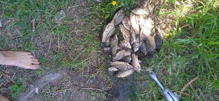 Отчет о рыбалке: озеро Чередовое — городской округ Омск — Омск — Сибирский федеральный округ, Омская область