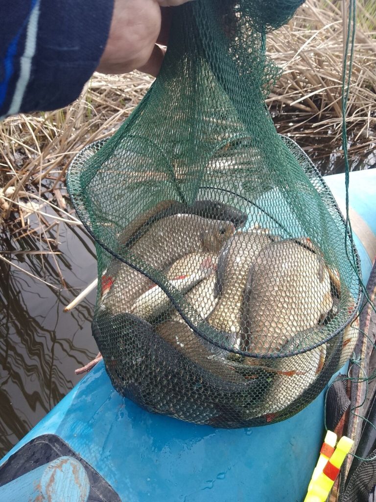 Отчет о рыбалке: Куйбышевское водохранилище — городской округ Димитровград — Приволжский федеральный округ, Ульяновская область