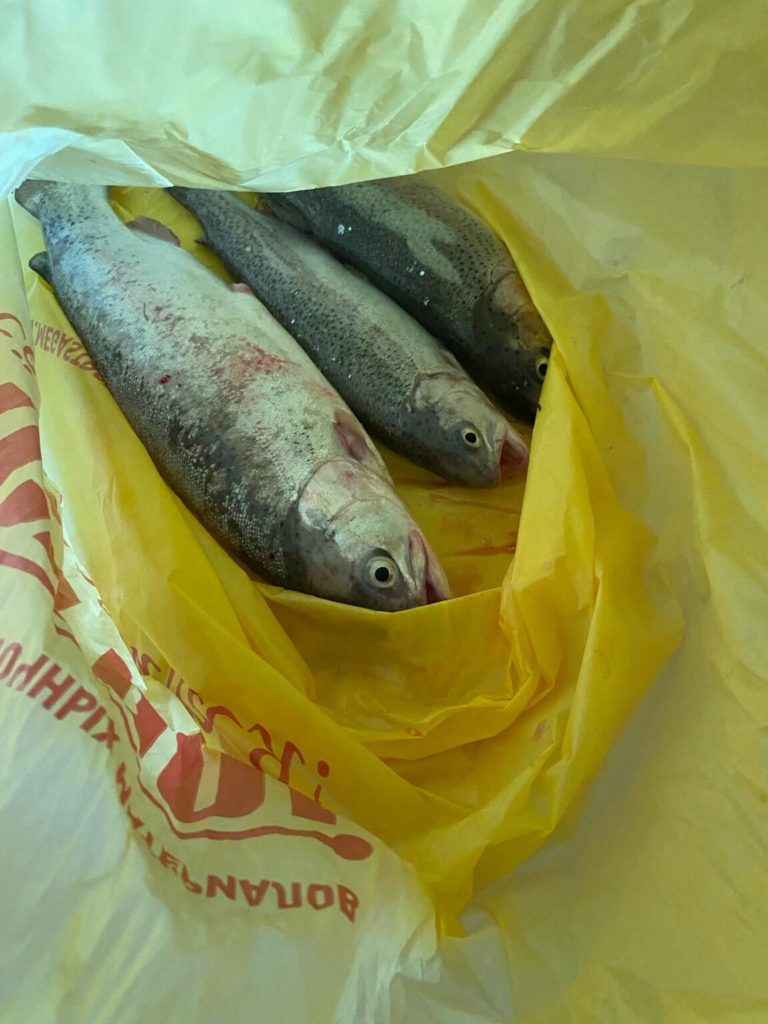 Отчет о рыбалке: Водоём #711893600 — городской округ Казань — Казань — Приволжский федеральный округ, Республика Татарстан