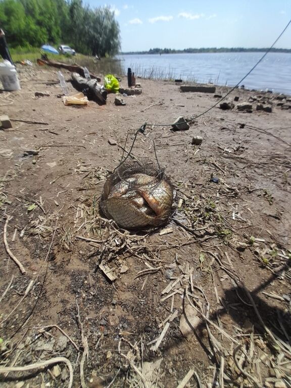 Отчет о рыбалке: Река Самара — городской округ Самара — Самара — Приволжский федеральный округ, Самарская область