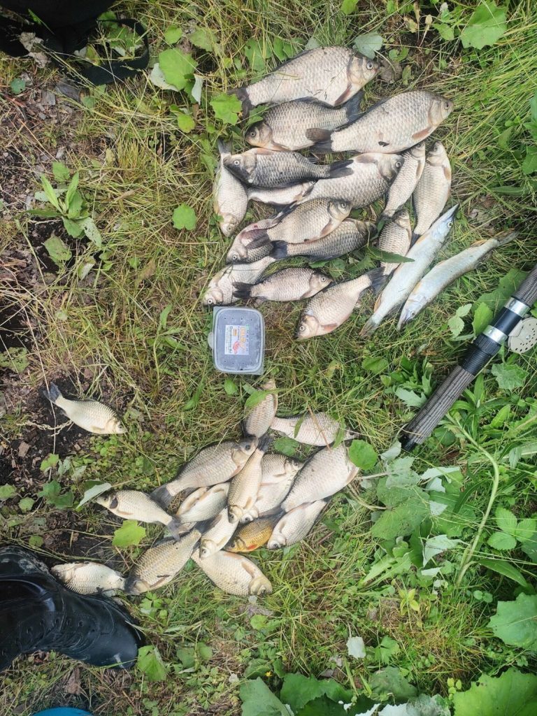 Отчет о рыбалке: Водоём #7810064 — городской округ Тобольск — Уральский федеральный округ, Тюменская область