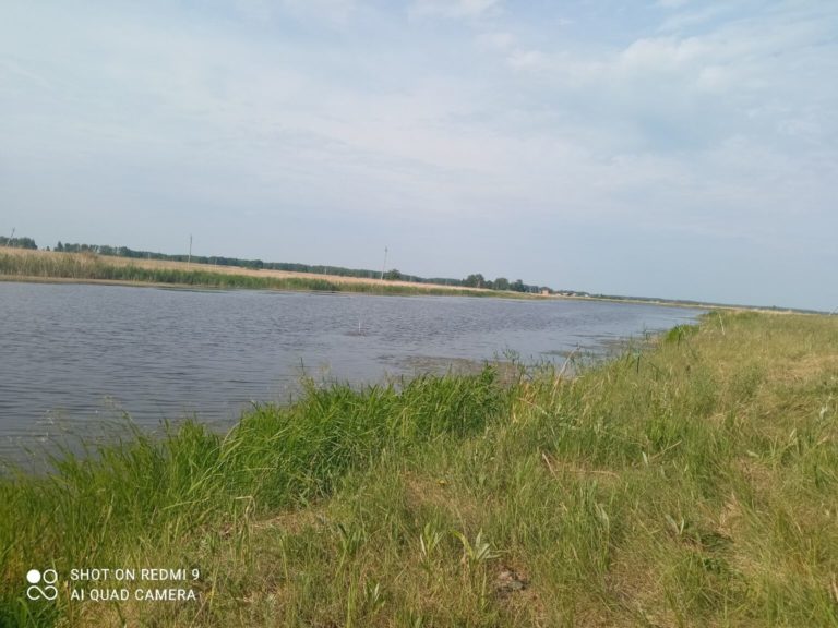 Отчет о рыбалке: Водоём #1206541 — Кормиловский район — Сибирский федеральный округ, Омская область