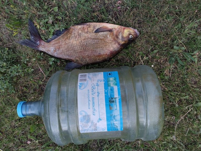 Отчет о рыбалке: Водоём #269390810 — городской округ Липецк — Липецк — Центральный федеральный округ, Липецкая область