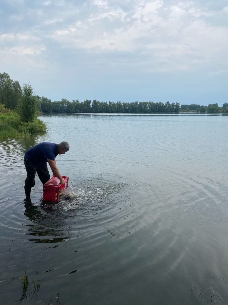 Отчет о рыбалке: озеро Синец — Турлатовское сельское поселение — Центральный федеральный округ, Рязанская область