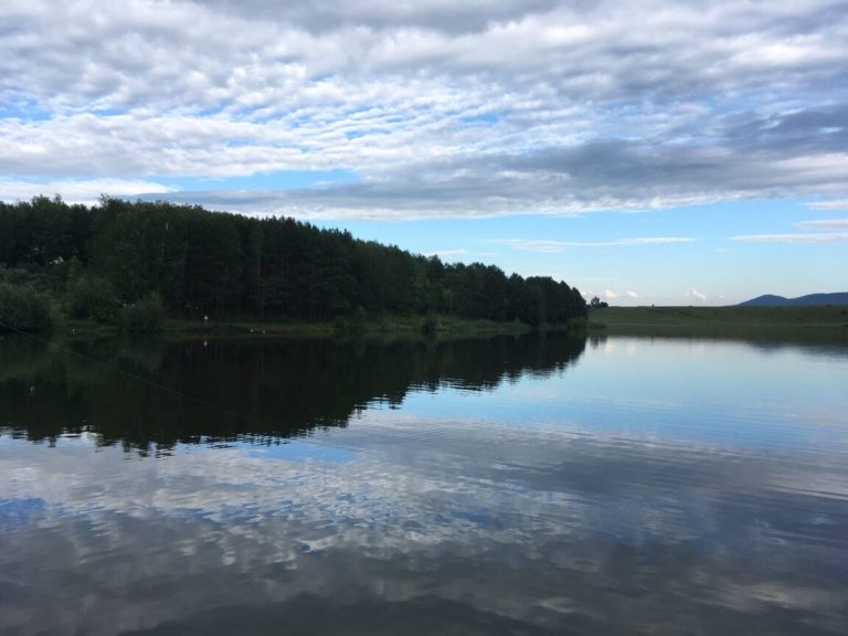 Отчет о рыбалке: Водоём #37320172 — Алтайский район — Сибирский федеральный округ, Алтайский край