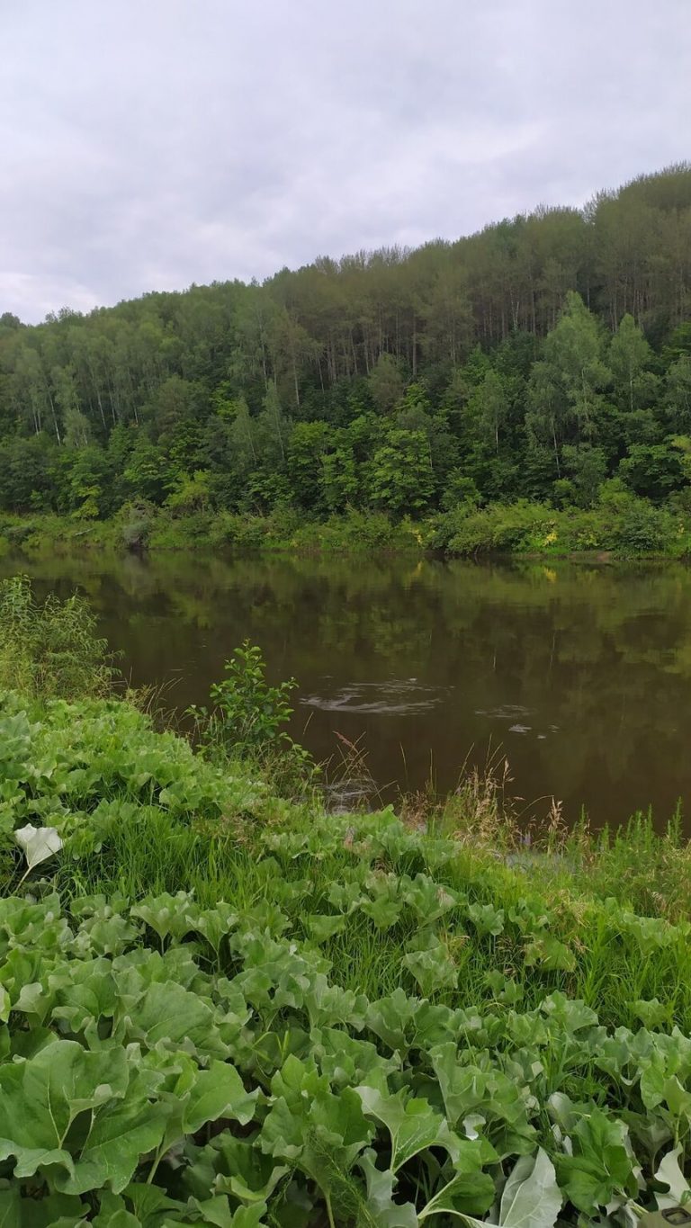 Отчет о рыбалке: Водоём #5968206 — Большеберезниковский район — Приволжский федеральный округ, Республика Мордовия