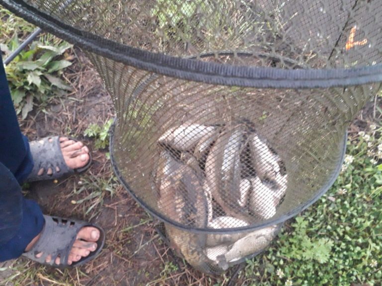 Отчет о рыбалке: Водоём #101516655 — Валуйский городской округ — Центральный федеральный округ, Белгородская область