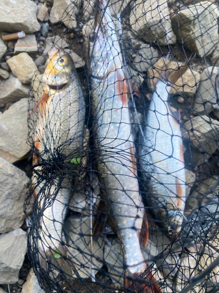 Отчет о рыбалке: Водоём #11760230 — городской округ Оренбург — Оренбург — Приволжский федеральный округ, Оренбургская область