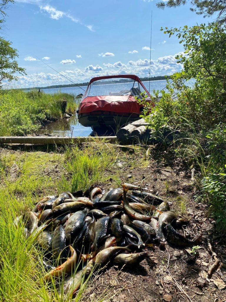 Отчет о рыбалке: Водоём озеро Кереть — Амбарнское сельское поселение — Северо-Западный федеральный округ, Республика Карелия