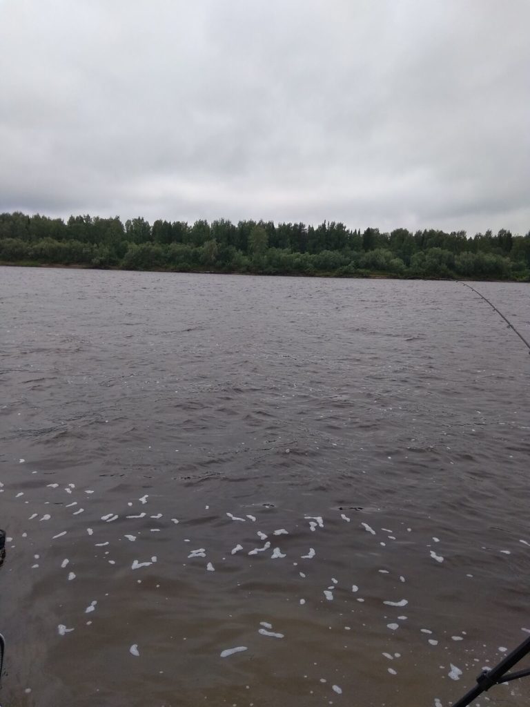 Отчет о рыбалке: Река Кама — Чердынский городской округ — Приволжский федеральный округ, Пермский край