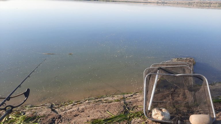 Отчет о рыбалке: Буферное водохранилище — Изобильненский муниципальный округ — Северо-Кавказский федеральный округ, Ставропольский край