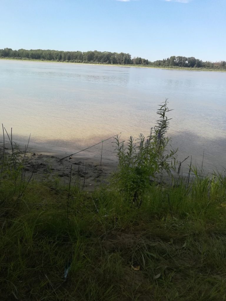 Отчет о рыбалке: Водоём #168784 — муниципальное образование Барнаул — Сибирский федеральный округ, Алтайский край