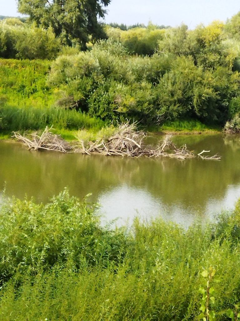 Отчет о рыбалке: река Ишим