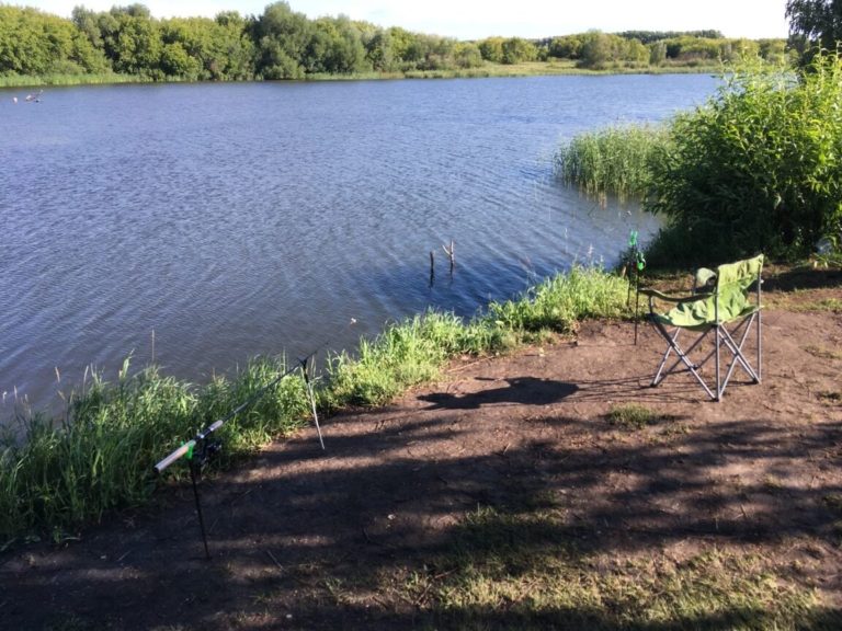 Отчет о рыбалке: Водоём #37280384 — Сибирский федеральный округ, Алтайский край