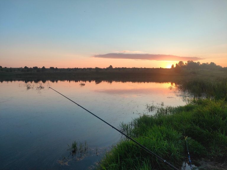 Отчет о рыбалке: Водоём #682495898 — Граховский район — Приволжский федеральный округ, Удмуртская Республика