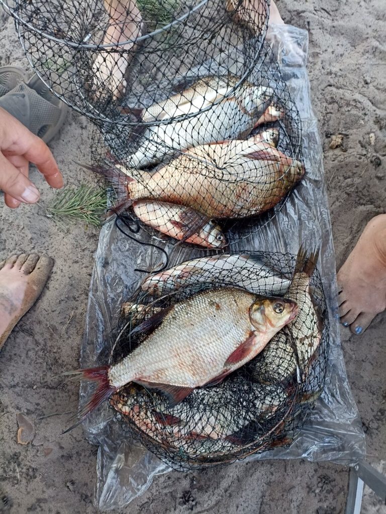 Отчет о рыбалке: Водохранилище Пензенское водохранилище — Леонидовский сельсовет — Приволжский федеральный округ, Пензенская область