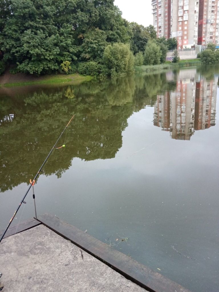 Отчет о рыбалке: Водоём Нижний пруд — городской округ Калининград — Калининград — Северо-Западный федеральный округ, Калининградская область