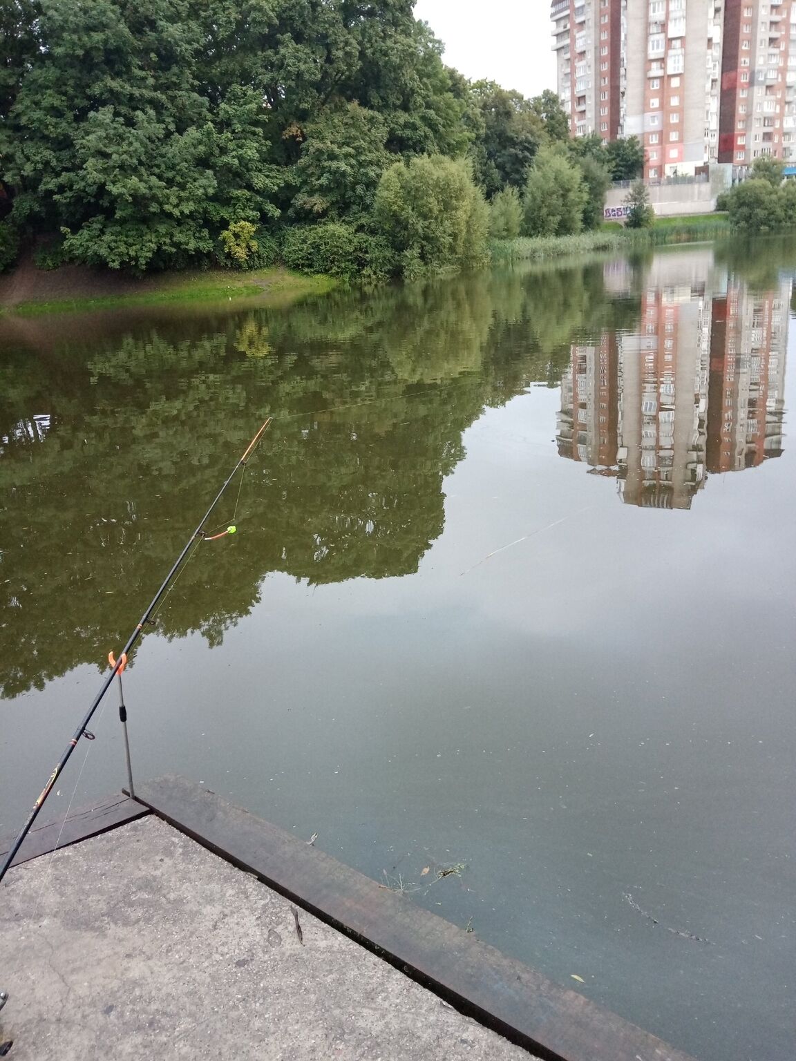 Отчет о рыбалке: Водоём Нижний пруд — городской округ Калининград — Калининград — Северо-Западный федеральный округ, Калининградская область