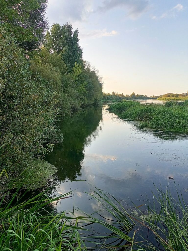 Отчет о рыбалке: Водоём #882762320 — Темниковское городское поселение — Темников — Приволжский федеральный округ, Республика Мордовия