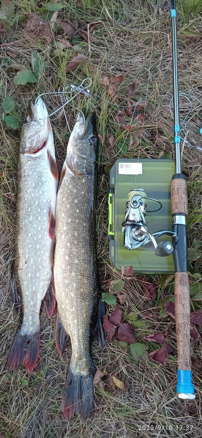 Отчет о рыбалке: Водоём #967683828 — городской округ Самара — Приволжский федеральный округ, Самарская область