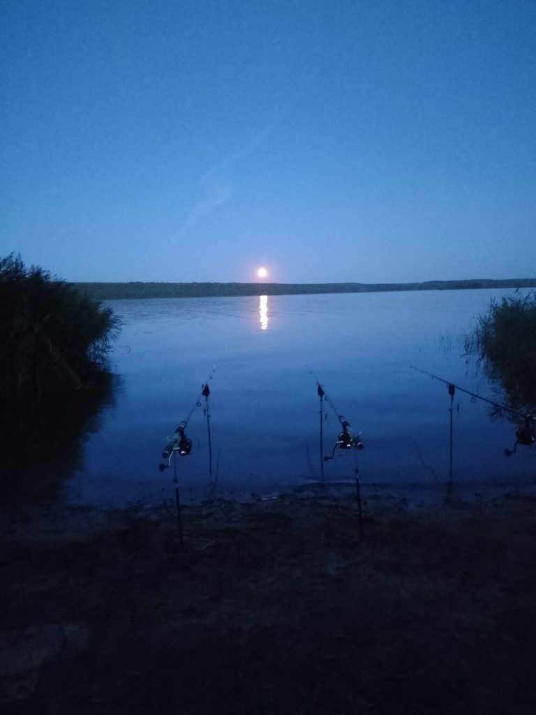 Отчет о рыбалке: Водоём Пензенское водохранилище — Шемышейский район — Приволжский федеральный округ, Пензенская область