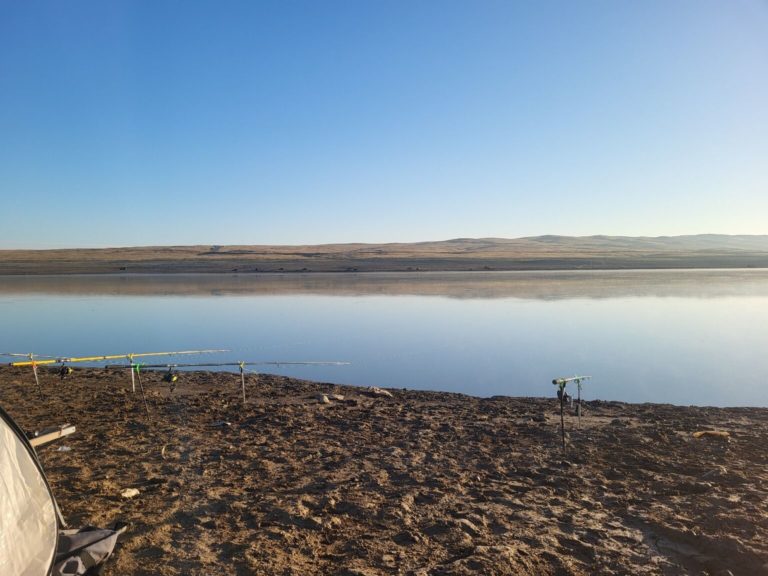 Отчет о рыбалке: водохранилище Терис Ащыбулак — Жуалынский район — Жамбылская область