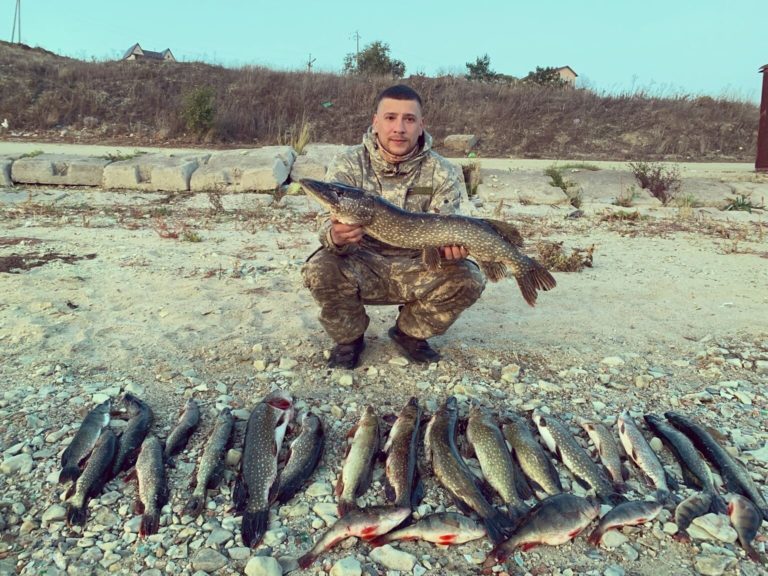 Отчет о рыбалке: Волгоградское водохранилище