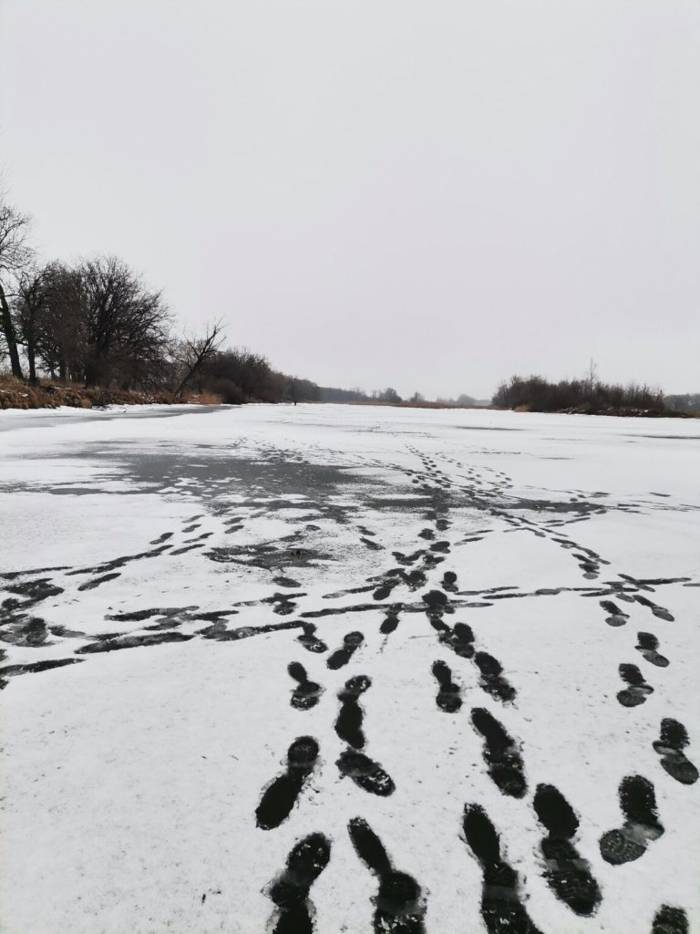 Отчет о рыбалке: Река Волга — Красноярское муниципальное образование — Приволжский федеральный округ, Саратовская область
