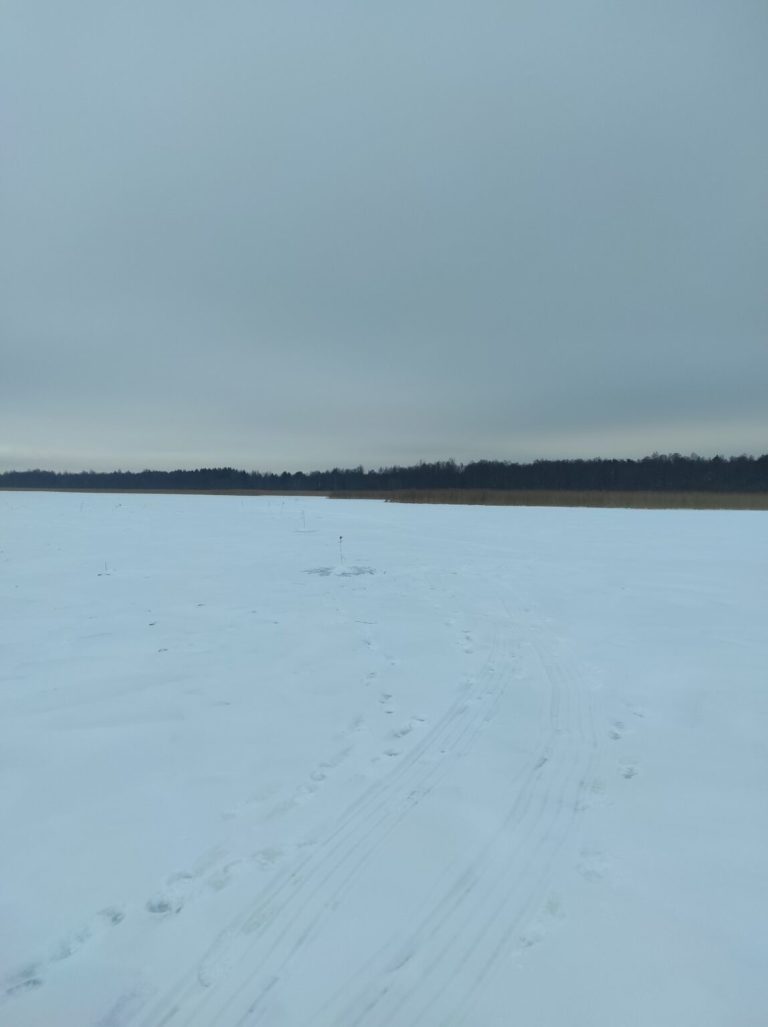 Отчет о рыбалке: Водоём #1659536 — Шлиссельбургское городское поселение — Шлиссельбург — Северо-Западный федеральный округ, Ленинградская область