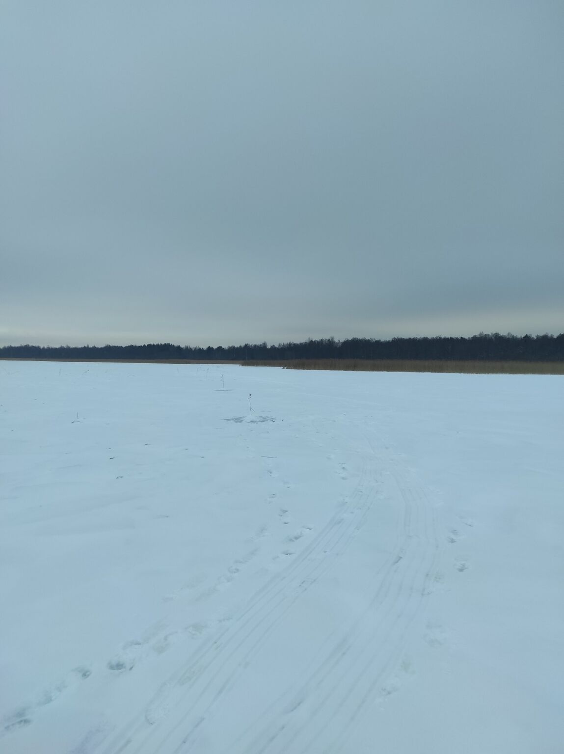 Отчет о рыбалке: Водоём #1659536 — Шлиссельбургское городское поселение — Шлиссельбург — Северо-Западный федеральный округ, Ленинградская область
