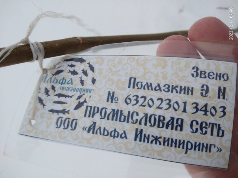 Отчет о рыбалке: Нижнекамское водохранилище — Приволжский федеральный округ, Республика Татарстан