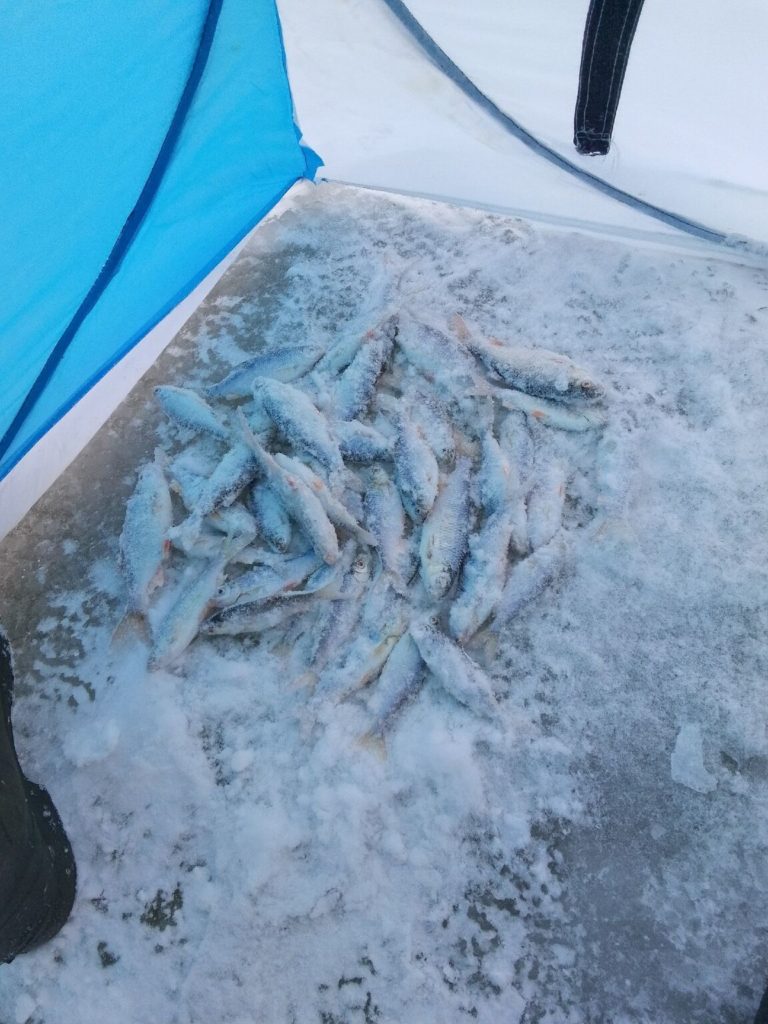 Отчет о рыбалке: Водоём Мочиха — городской округ Новоалтайск — Сибирский федеральный округ, Алтайский край