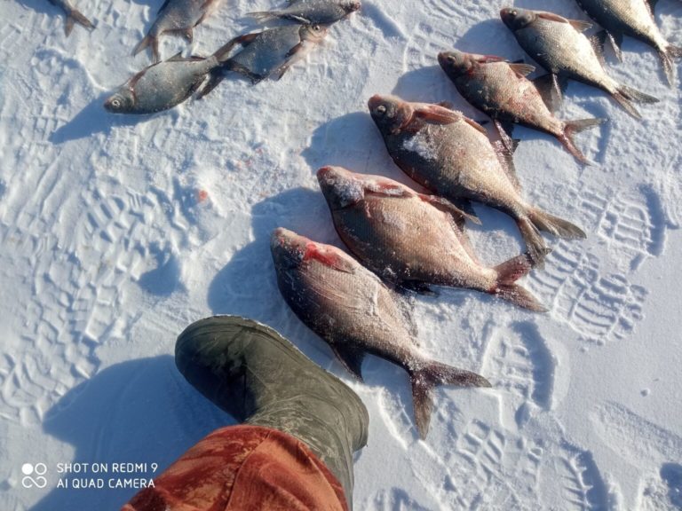 Отчет о рыбалке: Белгородское водохранилище — Центральный федеральный округ, Белгородская область