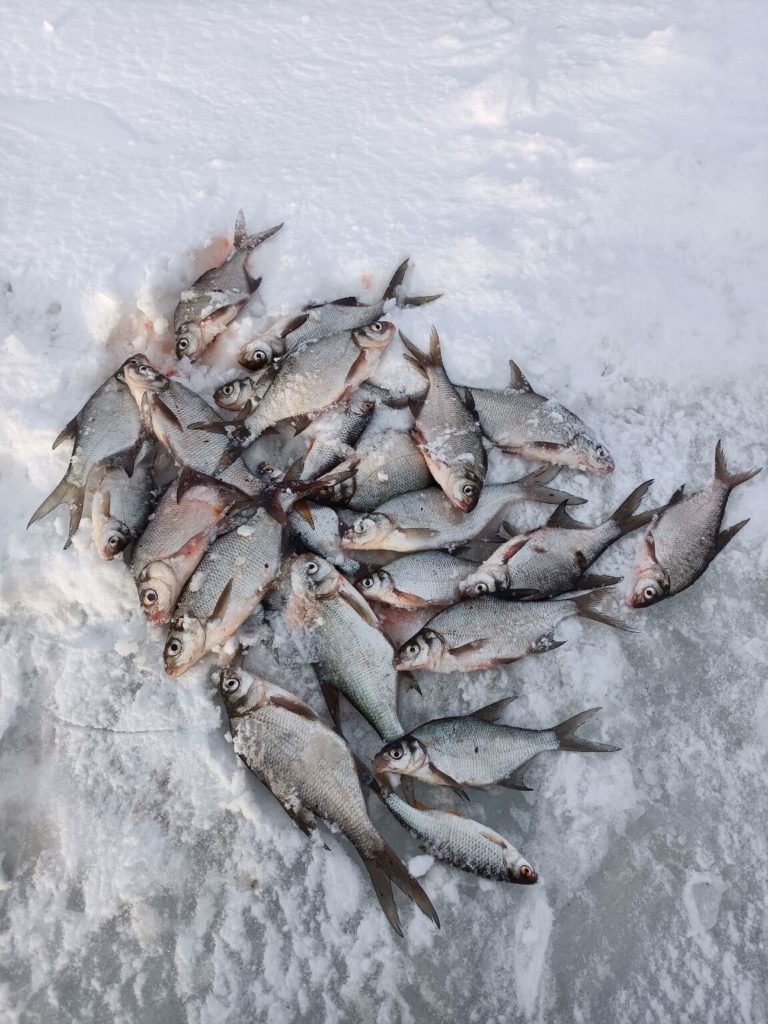 Отчет о рыбалке: Водоём Пронское водохранилище — муниципальное образование Новомосковск — село Стрельцы — Центральный федеральный округ, Тульская область