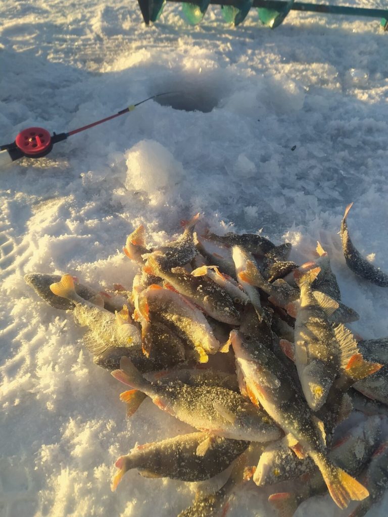 Отчет о рыбалке: Водоём Кузнецовский Затон — городской округ Уфа — Приволжский федеральный округ, Республика Башкортостан