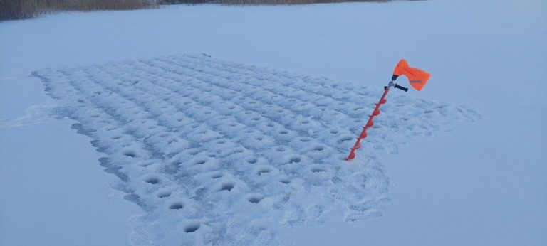 Отчет о рыбалке: Водоём #2318129 — Тямшанская волость — Северо-Западный федеральный округ, Псковская область