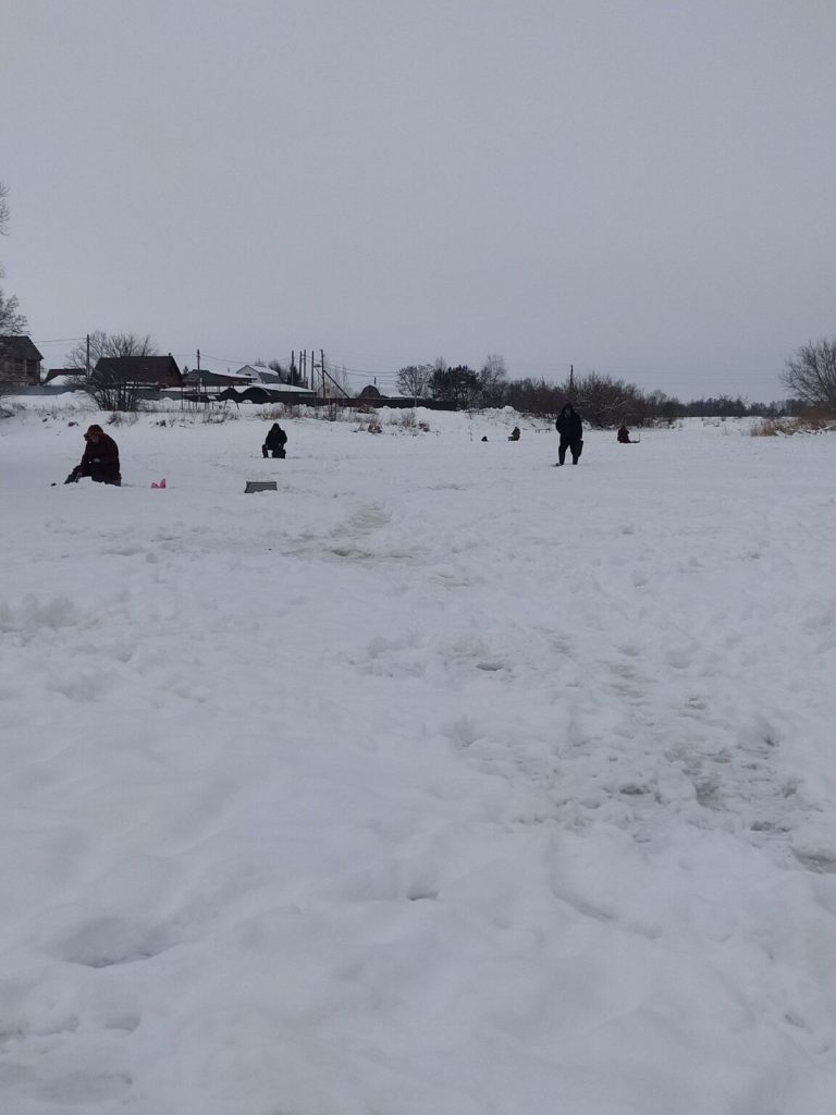 Отчет о рыбалке: река Цна — Центральный федеральный округ