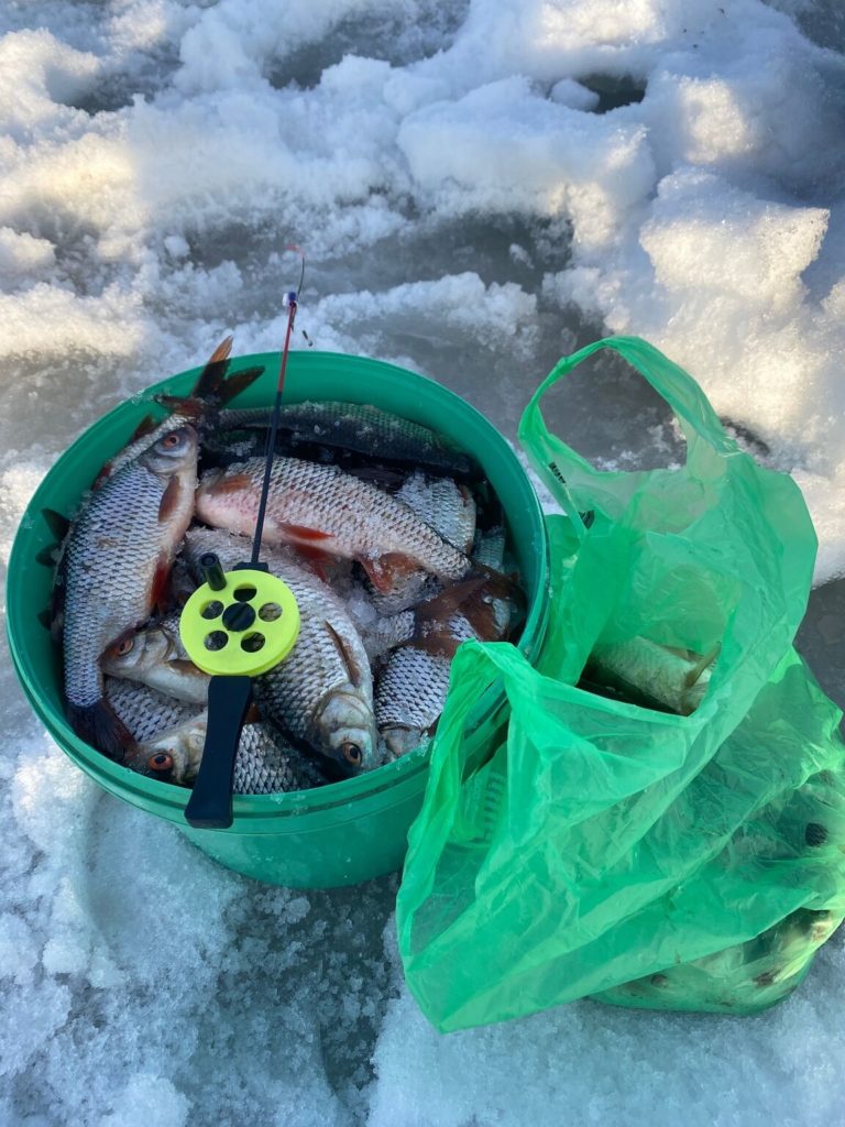 Отчет о рыбалке: Рефтинское водохранилище — Уральский федеральный округ, Свердловская область