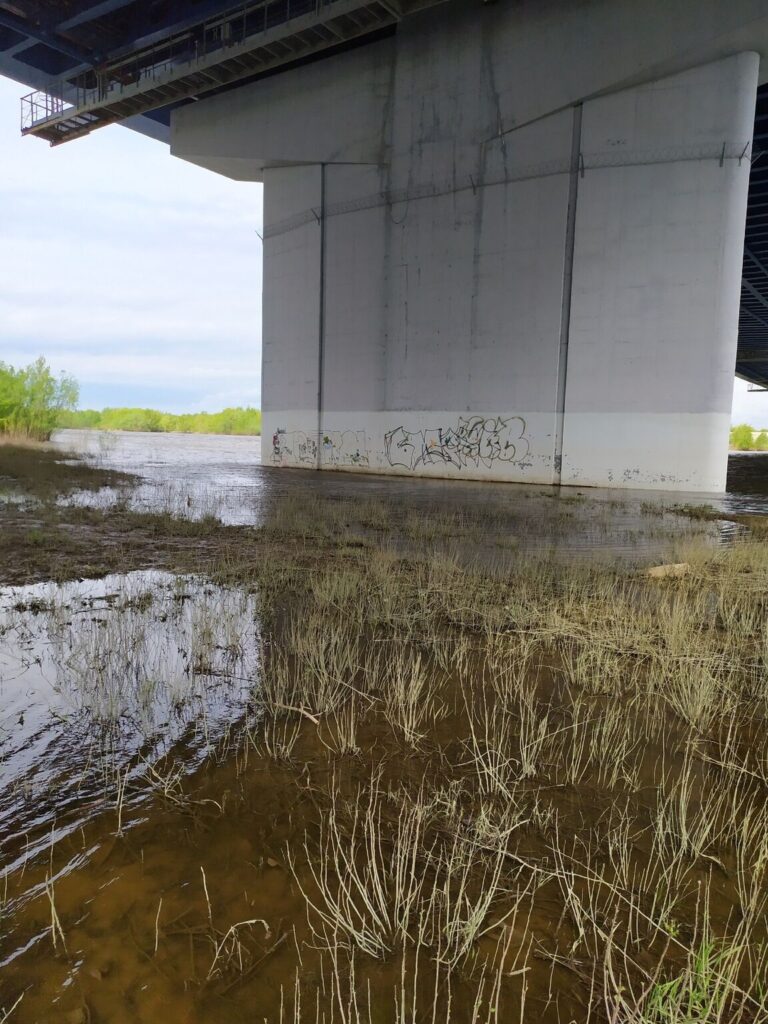Отчет о рыбалке: Река Самара — городской округ Самара — Самара — Приволжский федеральный округ, Самарская область